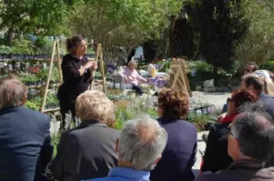 Sylvie Mistre Soldanelle "plantes en pots"