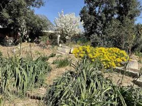 Été 2022 et la RETRAITE