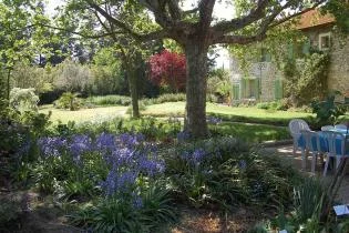 Rencontre dans un jardin Méditerranéen