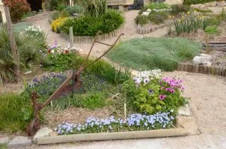 Anemone, Muscari, Narcisses autour d'un charrue