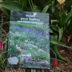 Guide pour Bulbes Méditerranéens